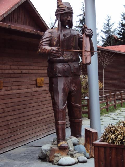 Rize görseli