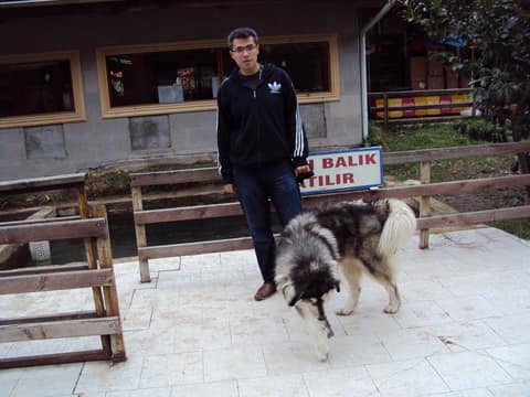 Rize görseli