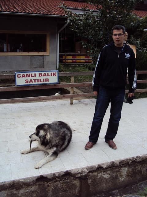 Rize görseli