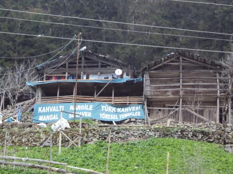 Rize görseli