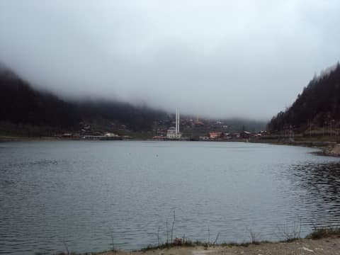 Rize görseli