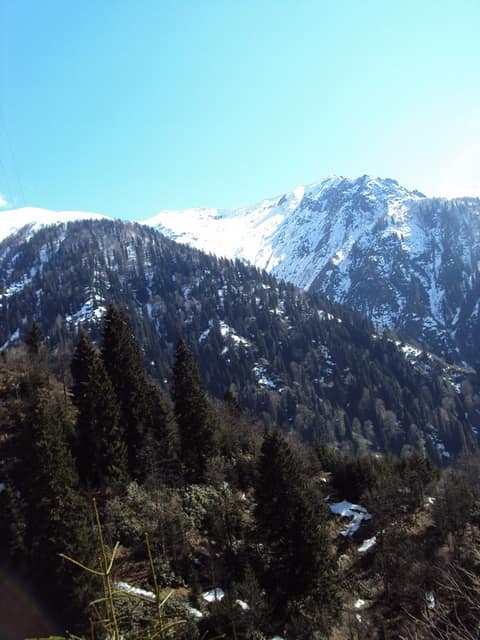 Rize görseli