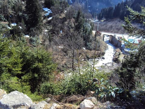 Rize görseli