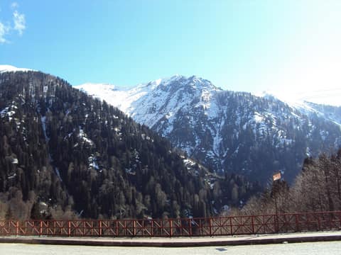 Rize görseli