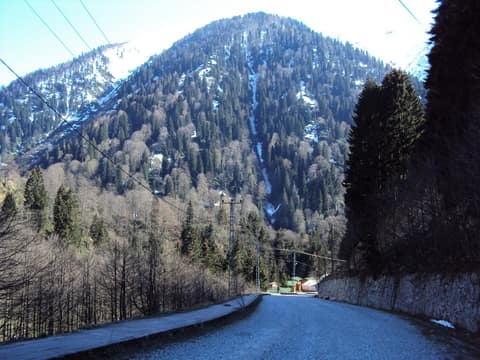 Rize görseli