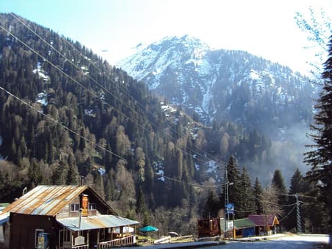 Rize görseli