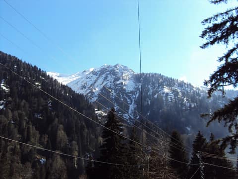 Rize görseli