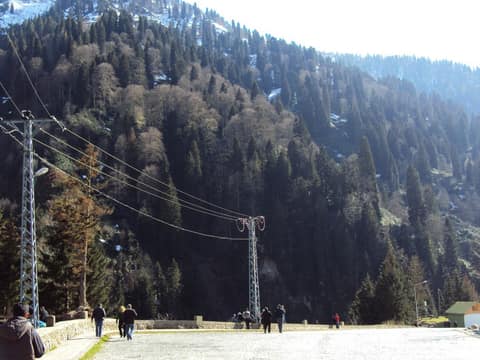Rize görseli