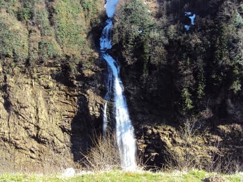 Rize görseli