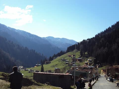 Rize görseli