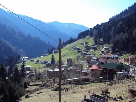 Rize görseli