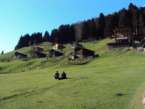 Rize görseli