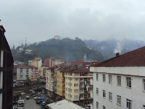 Rize görseli