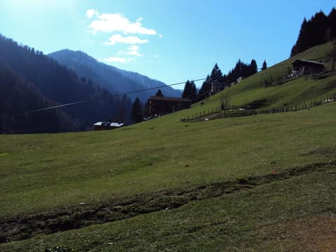 Rize görseli
