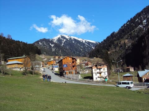 Rize görseli