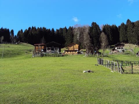 Rize görseli