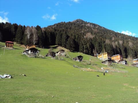 Rize görseli