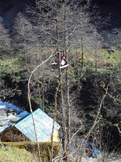 Rize görseli