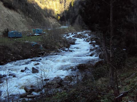 Rize görseli