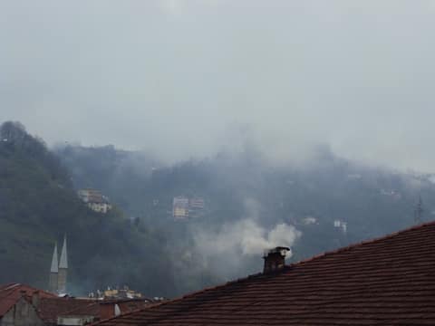Rize görseli