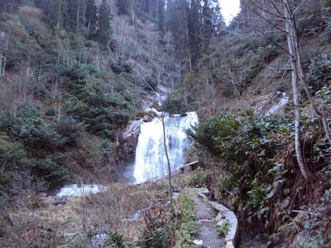 Rize görseli