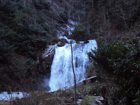 Rize görseli