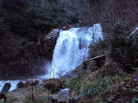 Rize görseli