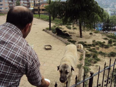 Zonguldak görseli