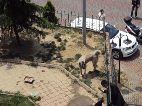 Zonguldak görseli