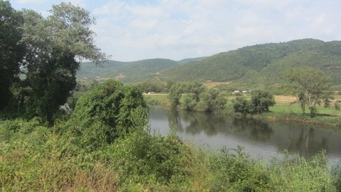 Bursa