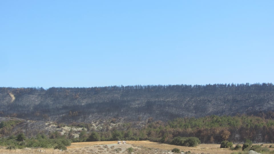 Çanakkale şehitlik arkası