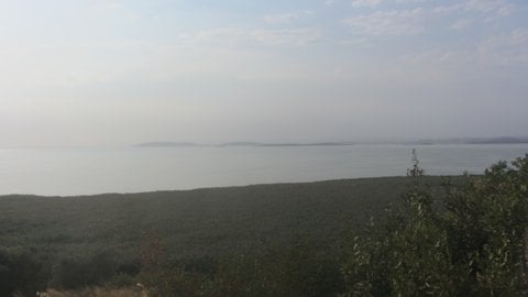 Bursa görseli