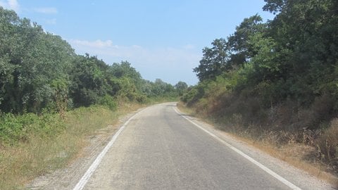 Bursa görseli