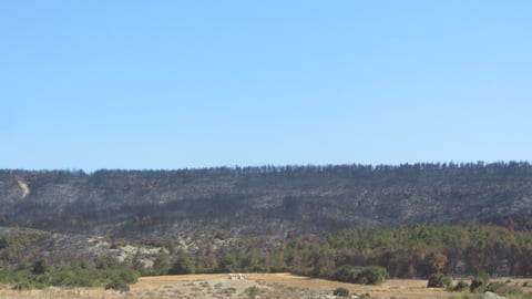 Çanakkale şehitlik arkası görseli
